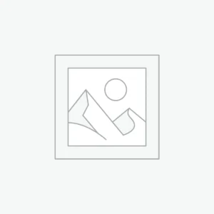 Sone Golden Earrings